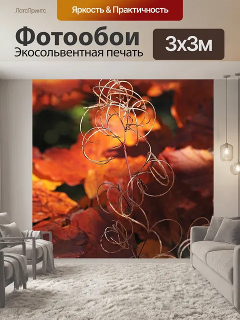 Фотообои Композиция