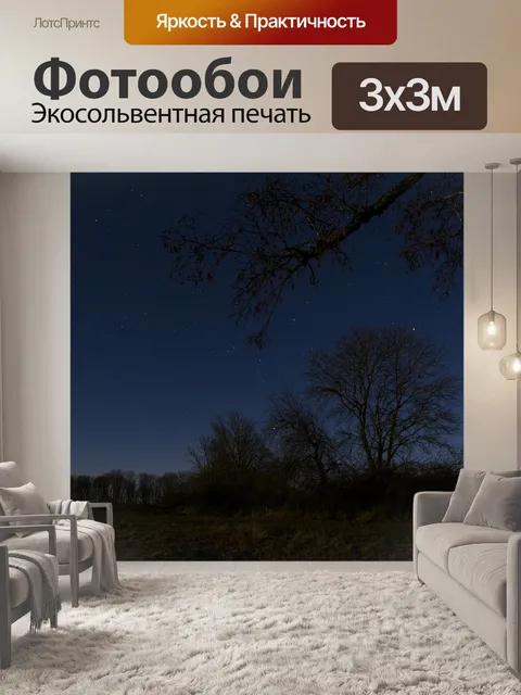 Фотообои Ночное небо