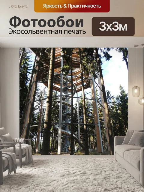 Фотообои Тропа через верхушки деревьев