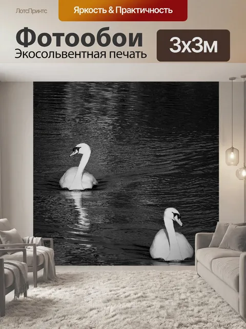 Фотообои Лебеди
