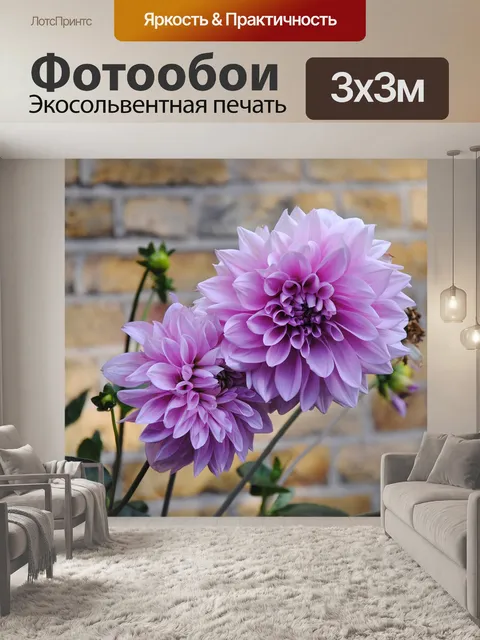 Фотообои Фиолетовый цвет