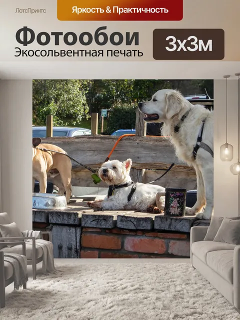 Фотообои Собаки