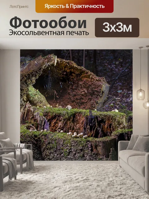 Фотообои Современное