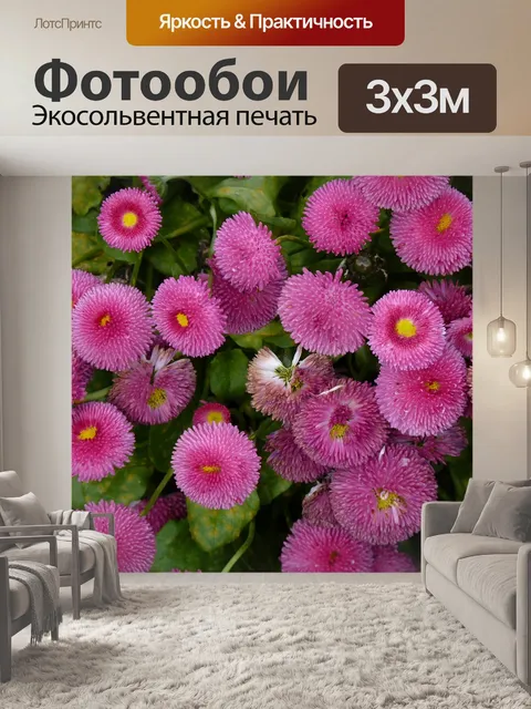 Фотообои Цветок