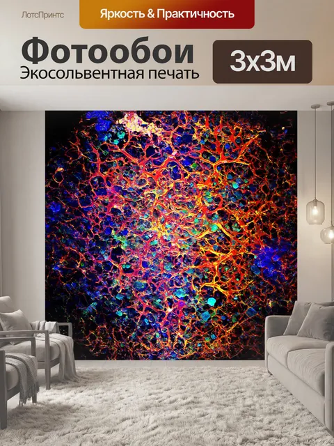 Фотообои абстрактное изображение нейронов