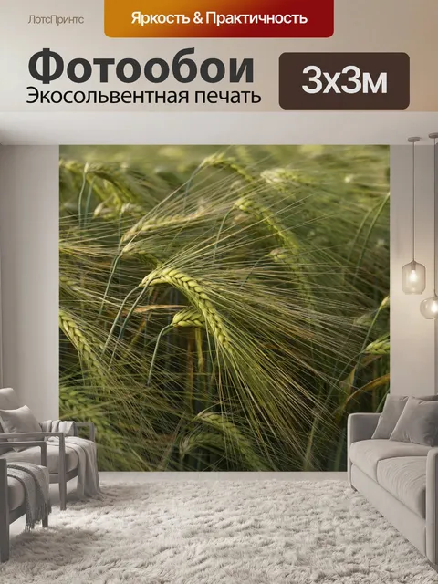 Фотообои Плоды поля ржаного ячменя