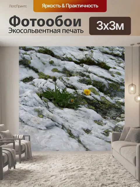 Фотообои Альпийская белая скала