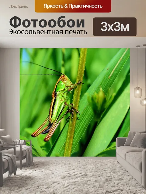 Фотообои Макрос