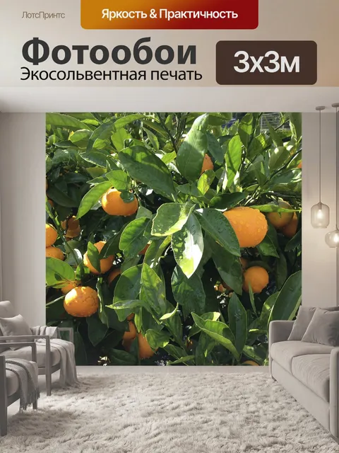 Фотообои Оранжевый