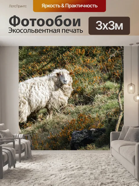 Фотообои Животное