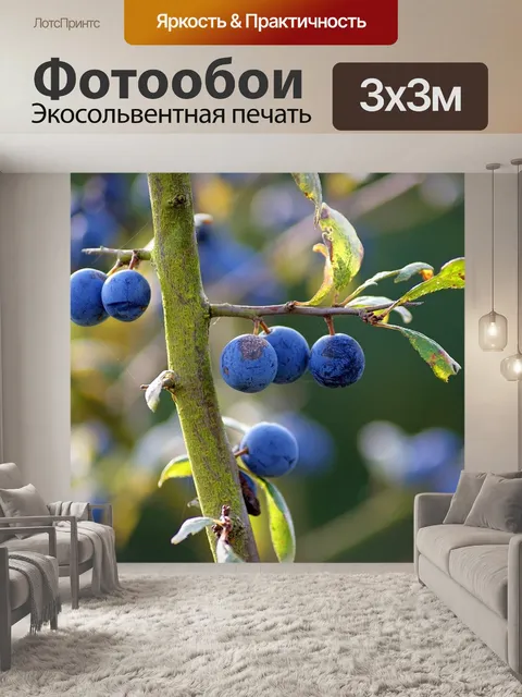 Фотообои Топтаться