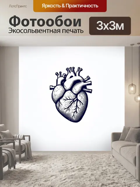 Фотообои научная иллюстрация органов сердца, выполненная в стиле скетча, с растровым эффектом и прочерченными линиями