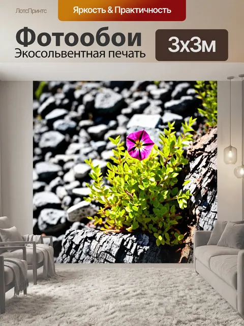 Фотообои цветок, растущий на скалистой местности, с грубой корой и яркими цветами, контрастирующими с серыми камнями