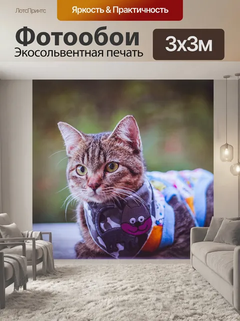 Фотообои Кот