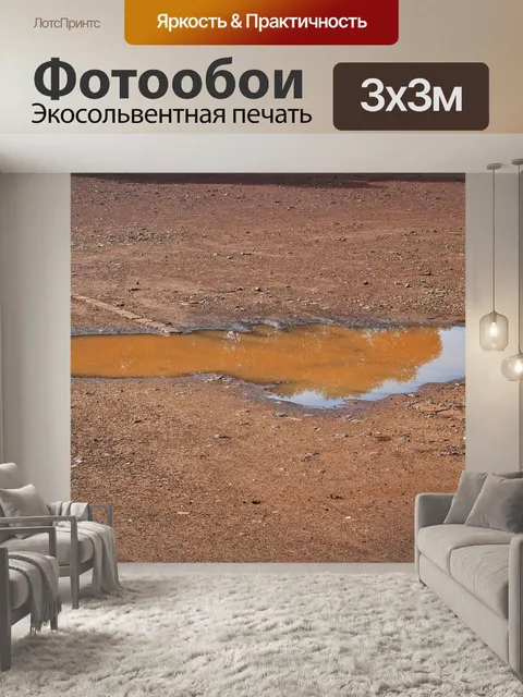Фотообои Лужа воды с следами шин