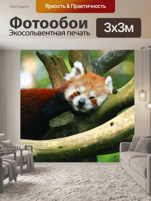 Фотообои Панда красный