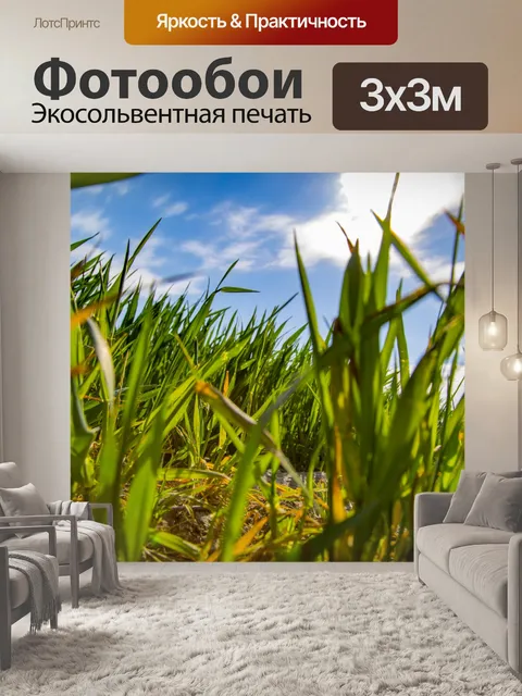 Фотообои Зеленая трава