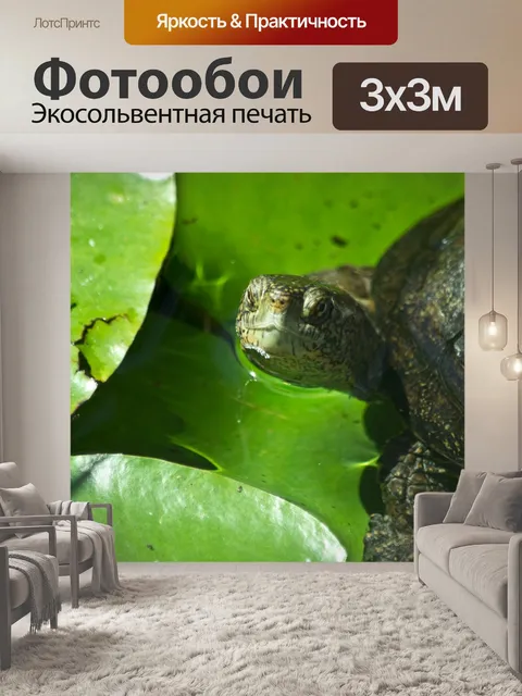 Фотообои Вода Черепаха