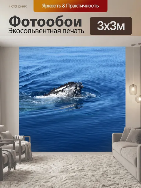 Фотообои Кит