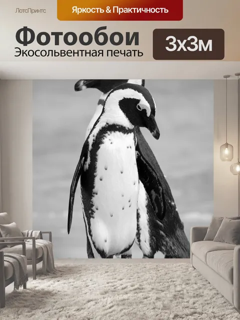 Фотообои Пингвин
