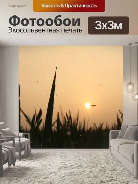 Фотообои Солнце
