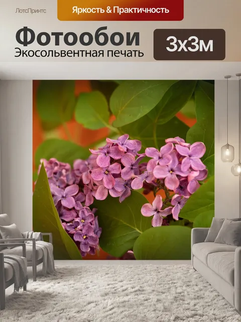 Фотообои Сирень
