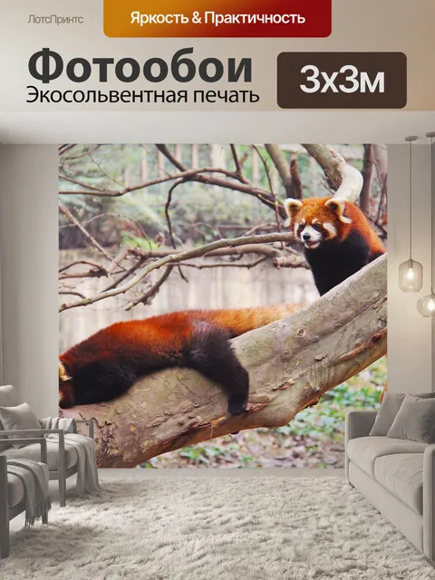 Фотообои Милый