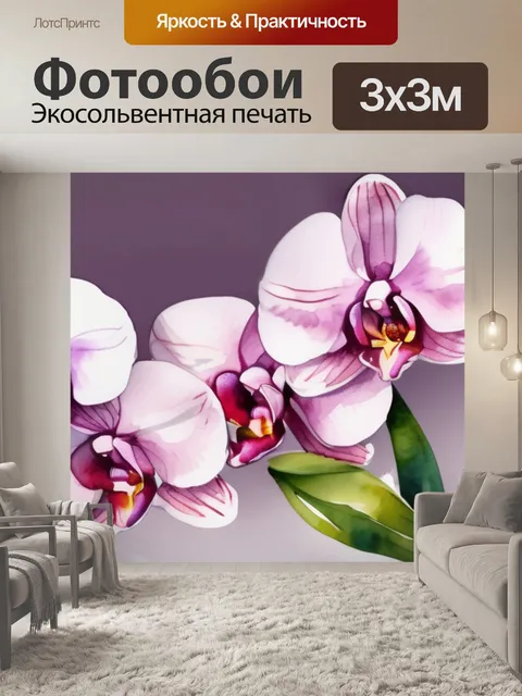 Фотообои цветов орхидей