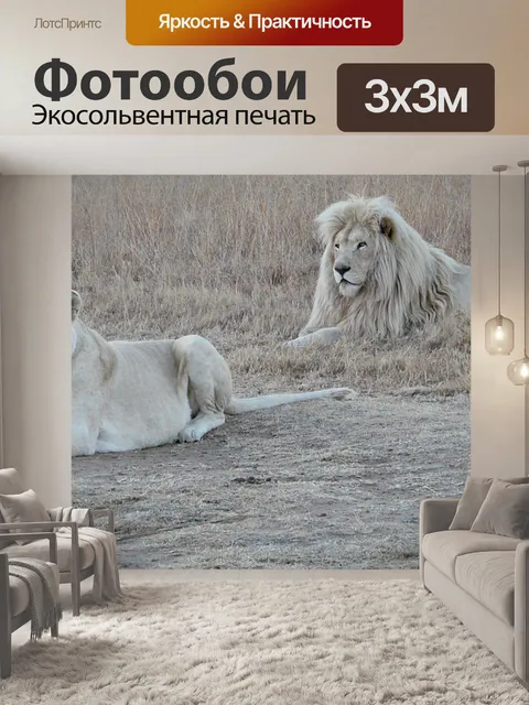 Фотообои Белые львы семья