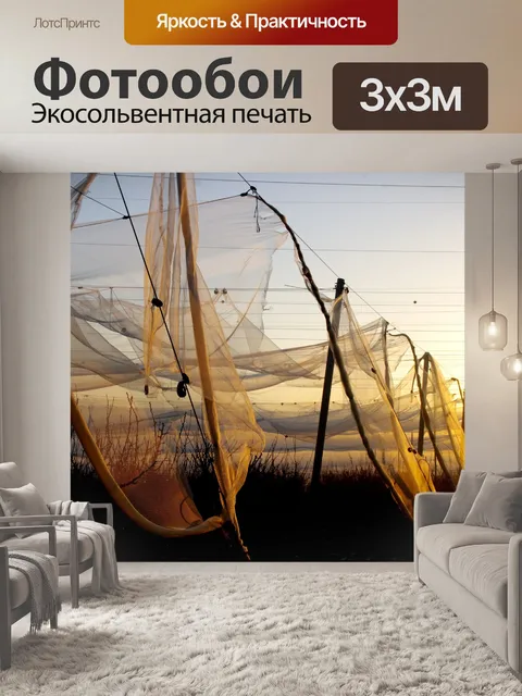 Фотообои Садовые сети в золотой час восхода солнц