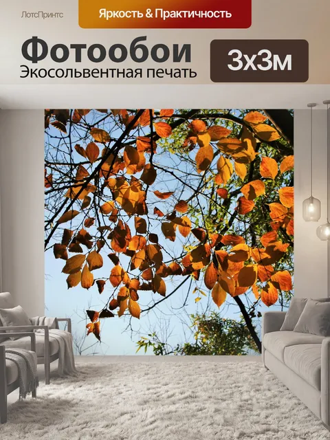 Фотообои Тень и свет на желтые листья