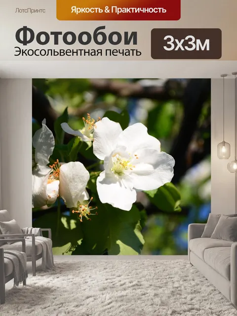 Фотообои Яблоня