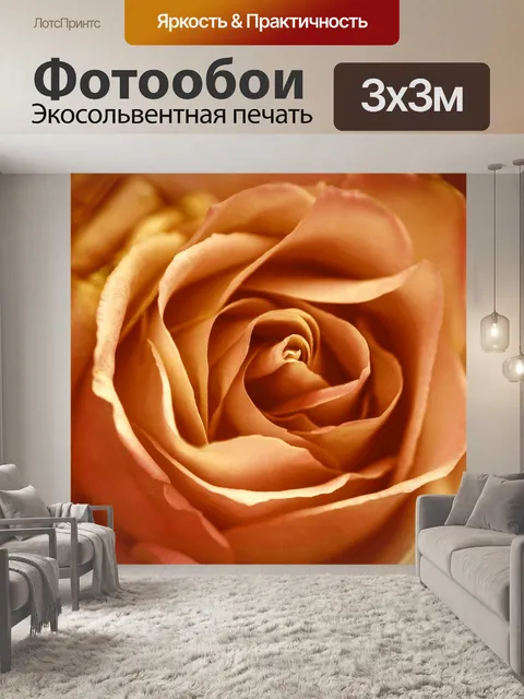 Фотообои Цветок розы