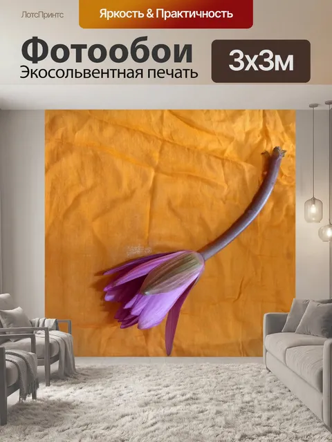 Фотообои Лотос