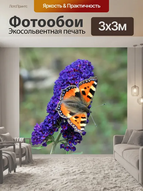 Фотообои Бабочка сиреневый
