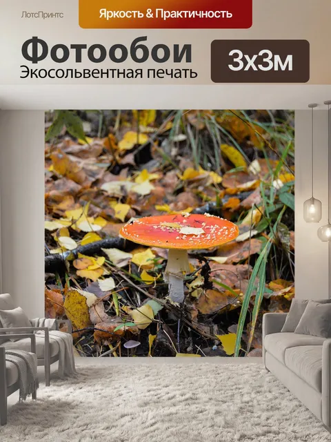 Фотообои Осень