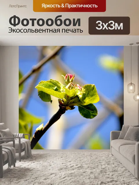 Фотообои Яблоневый цвет