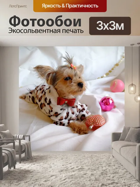 Фотообои Собака