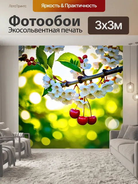 Фотообои природа весной в ярких красках: черемуха с белыми цветами