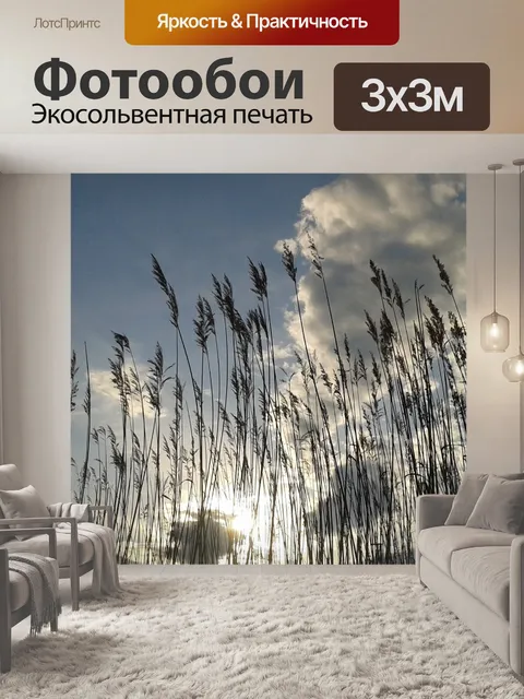 Фотообои Небо
