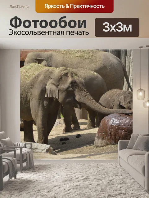 Фотообои Слоны играют 4