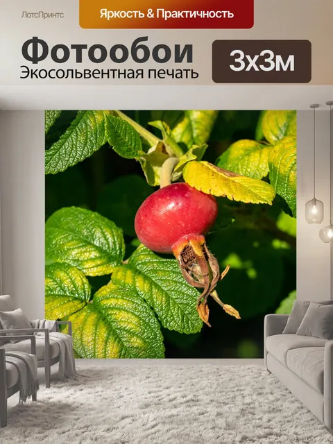 Фотообои Дерево