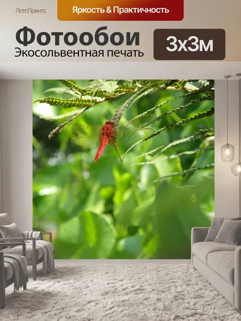 Фотообои Стрекоза
