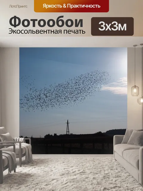 Фотообои Птицы