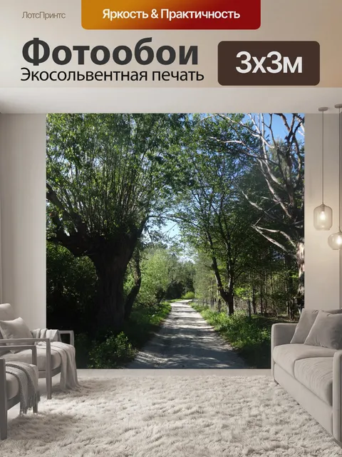 Фотообои Лес в Польше