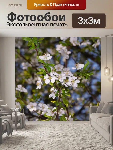Фотообои Весна