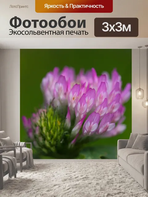 Фотообои Красный клевер