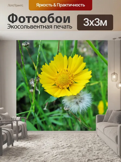 Фотообои Желтый цветок и белый одуванчик