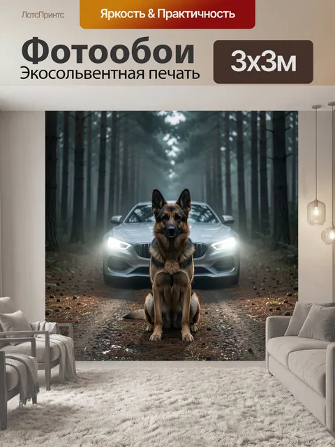 Фотообои Овчарка на лесной дороге