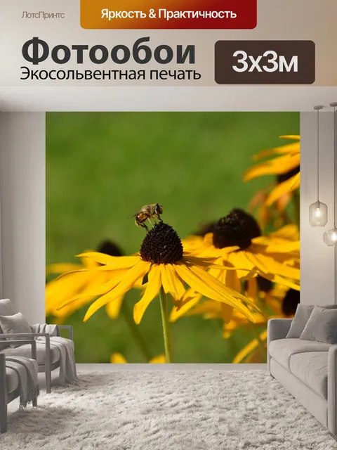 Фотообои Желтая шляпа от солнца